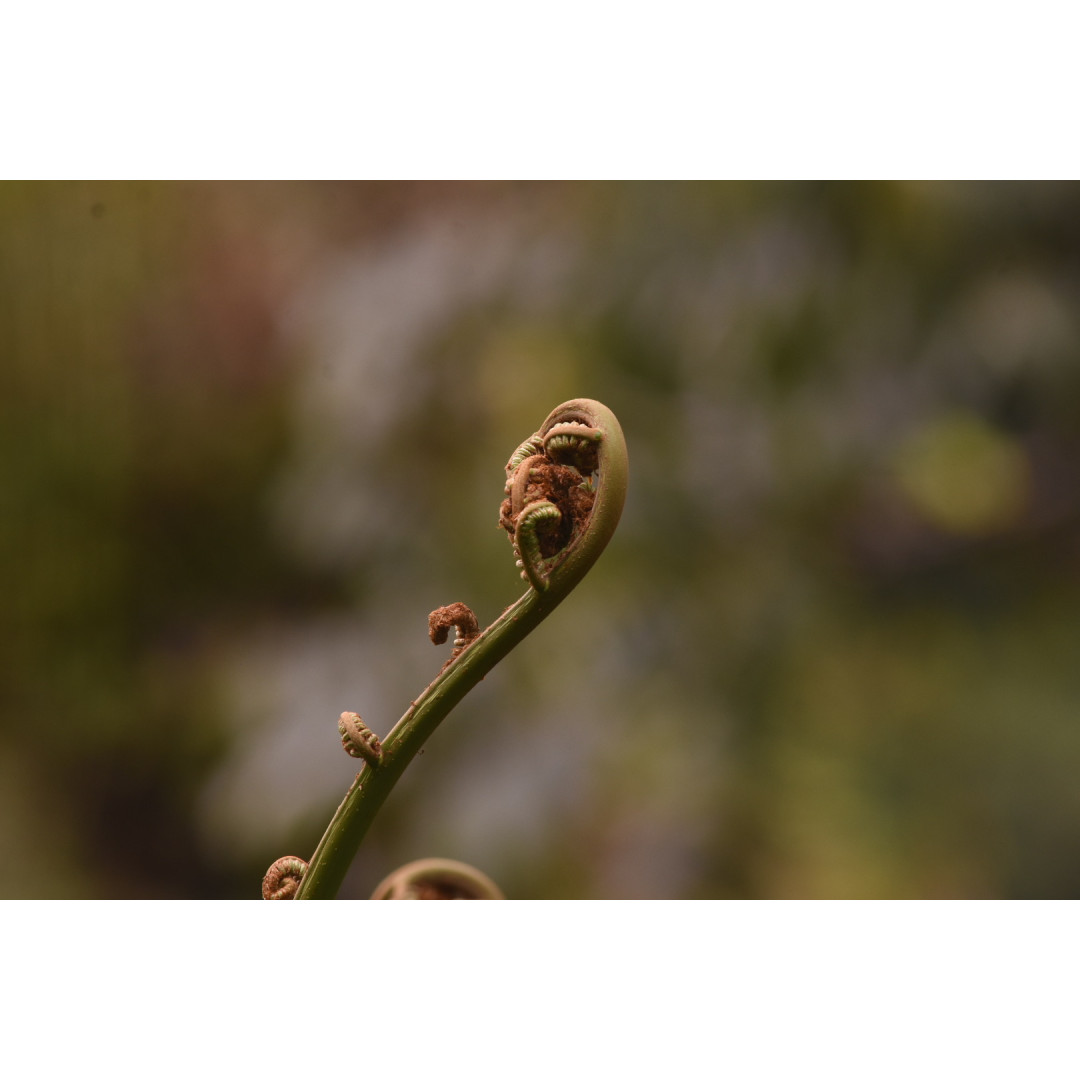 Tour de Fotografía de Naturaleza