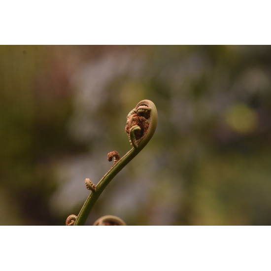 Tour de Fotografía de Naturaleza