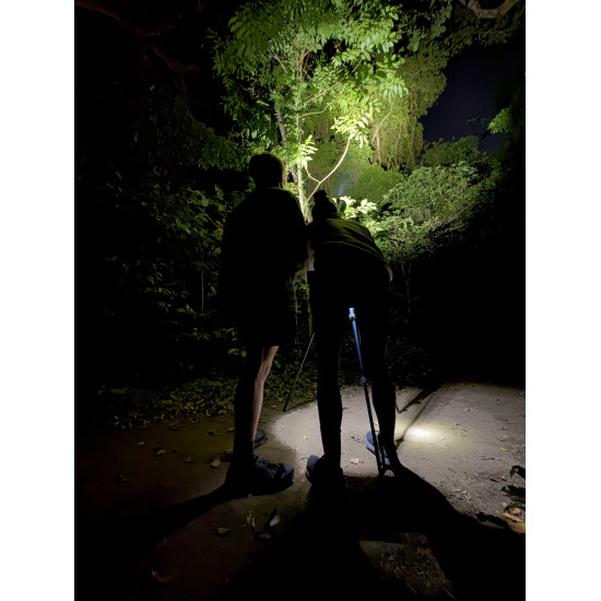 Night Guided Tour with Night Vision goggles(Little Groups 8 Max)