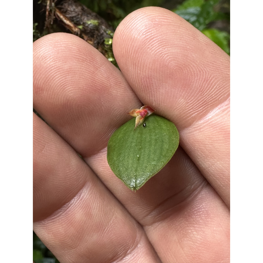 Tour de Fotografía de Naturaleza