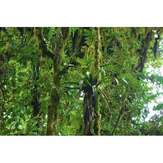 Tour de Fotografía de Naturaleza