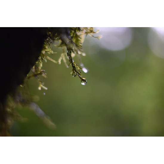 Tour de Fotografía de Naturaleza