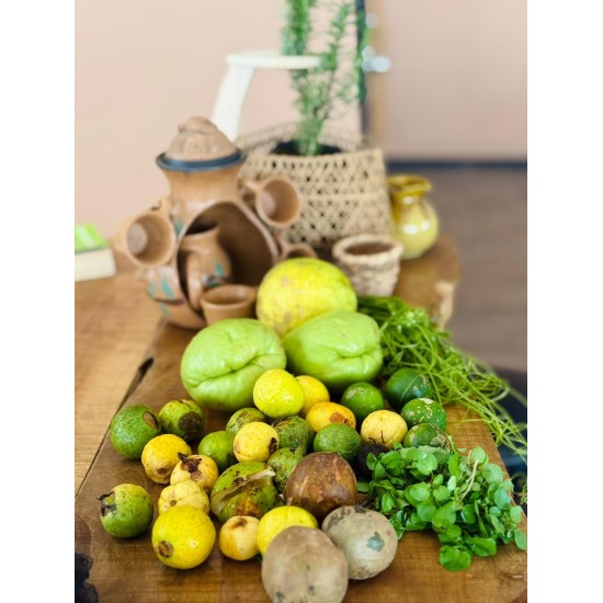 Flavors of the Forest: Ethnobotanical & Culinary Journey