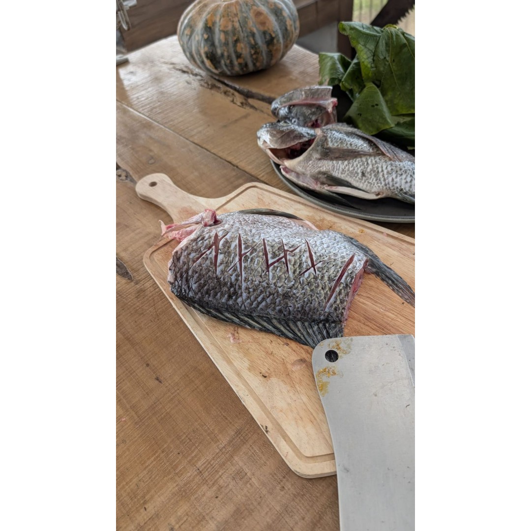 Flavors of the Forest: Ethnobotanical & Culinary Journey