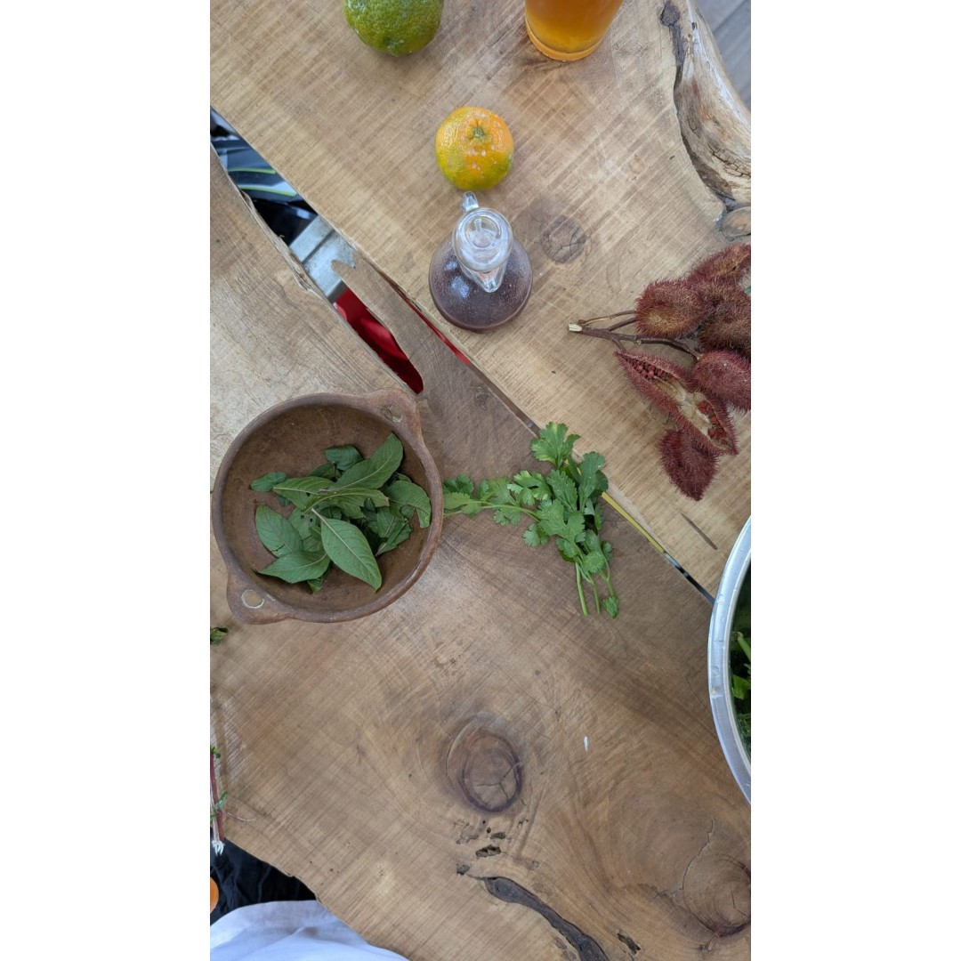 Sabores del Bosque: Vivencia Gastronómica y Etnobotánica