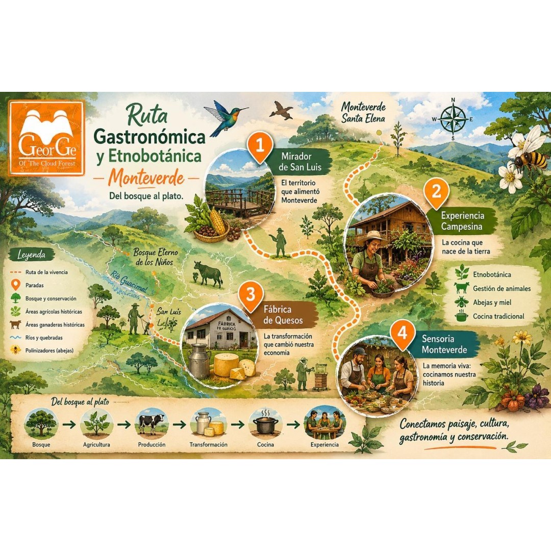 Flavors of the Forest: Ethnobotanical & Culinary Journey