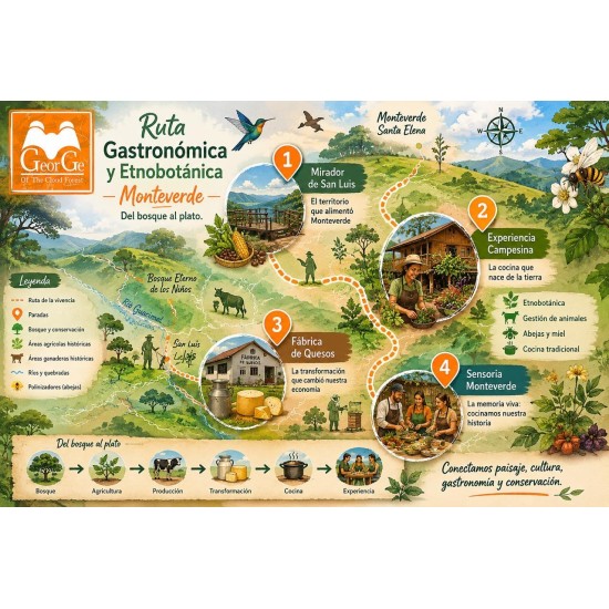 Sabores del Bosque: Vivencia Gastronómica y Etnobotánica