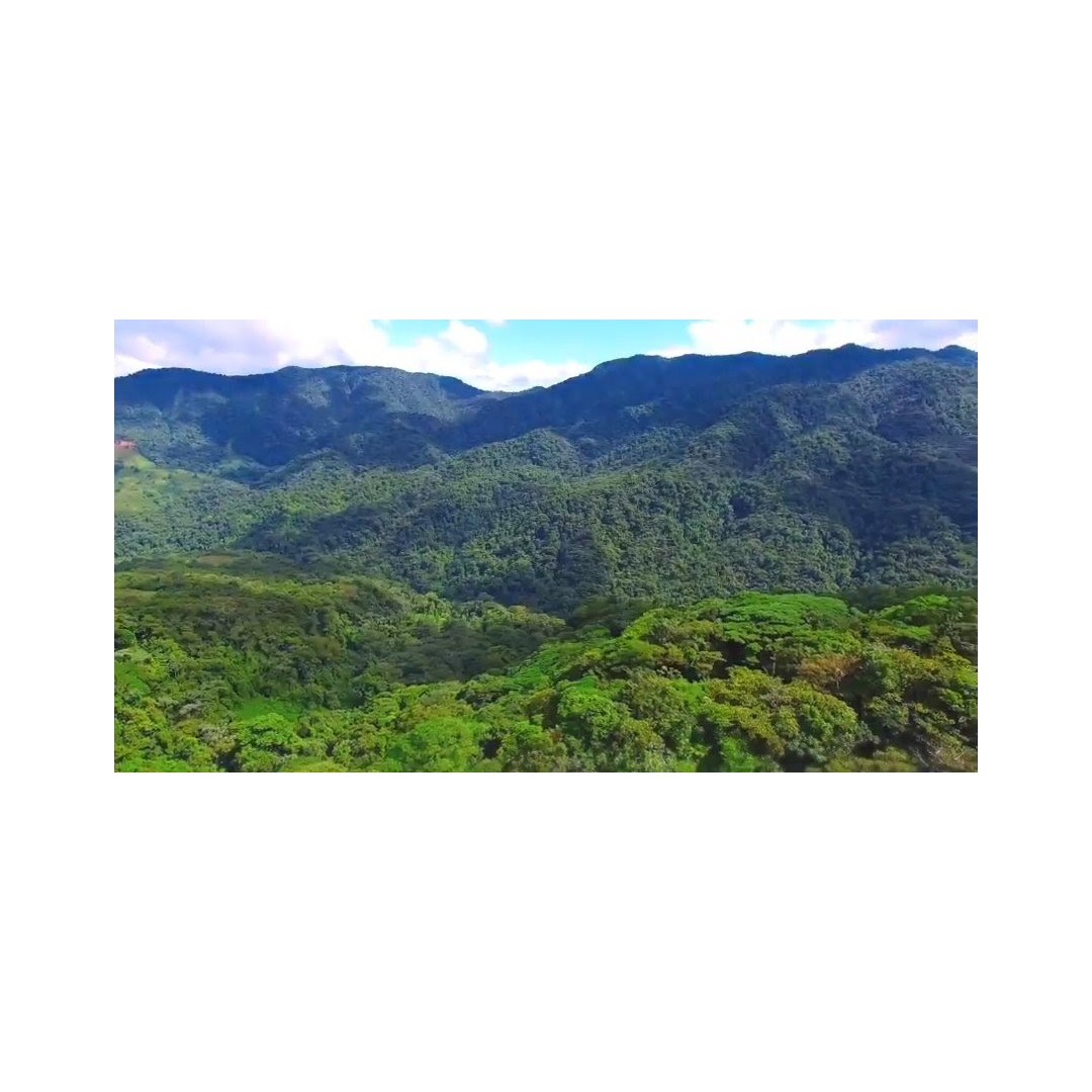 Monteverde Conservation Experience
