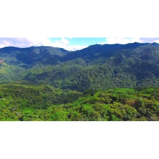 Vivencia de conservacion Monteverde