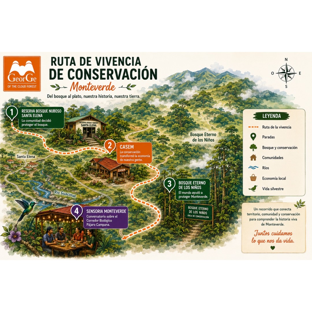 Vivencia de conservacion Monteverde