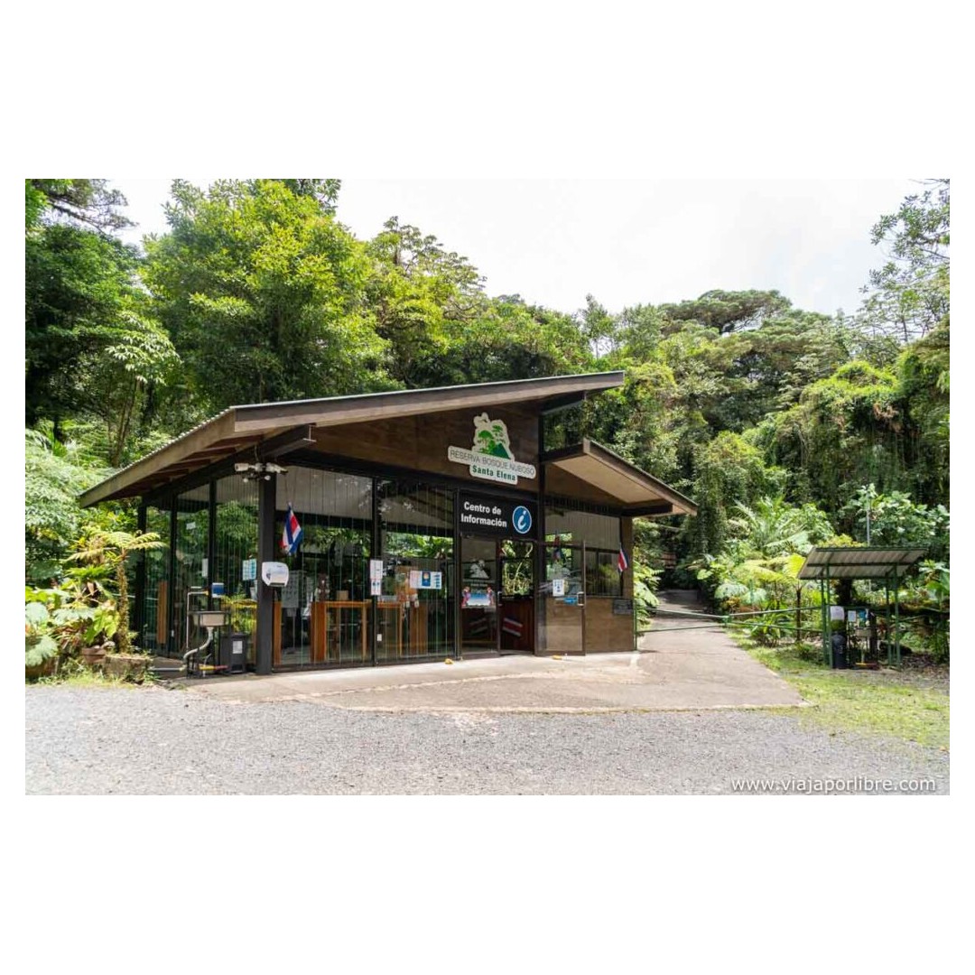 Vivencia de conservacion Monteverde