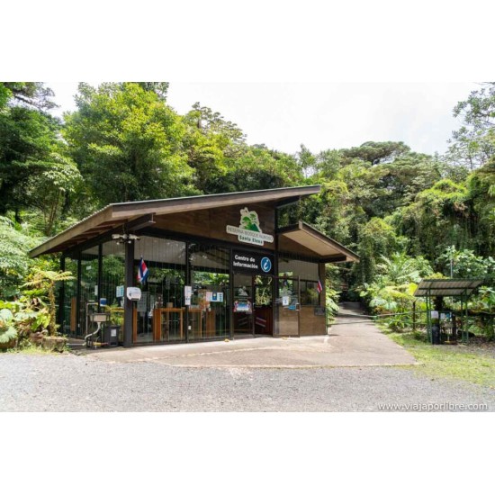 Vivencia de conservacion Monteverde