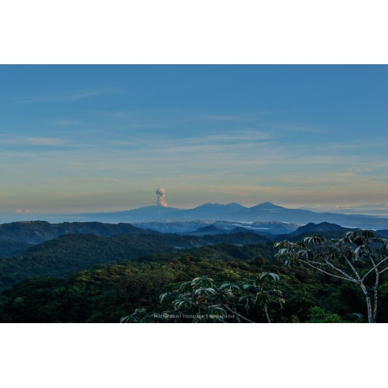 Monteverde Conservation Experience