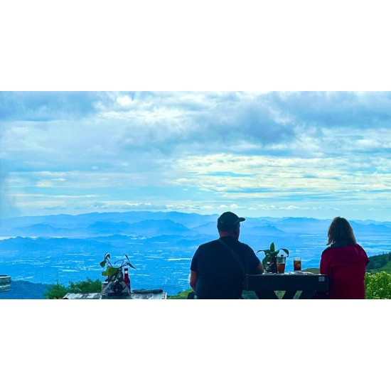 Monteverde Conservation Experience