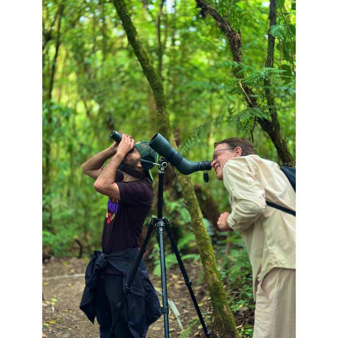 Monteverde Conservation Experience