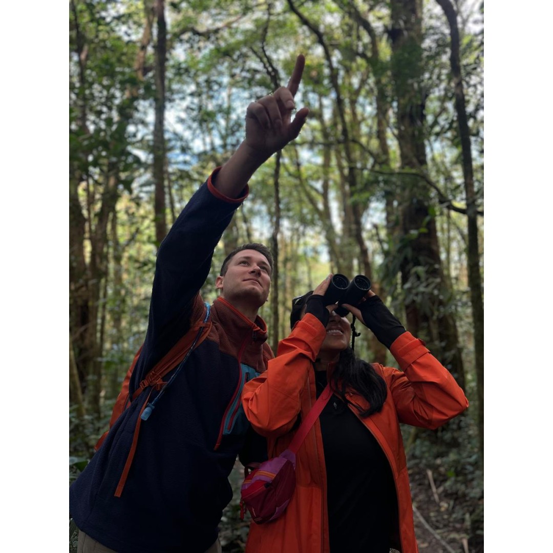 Monteverde Conservation Experience