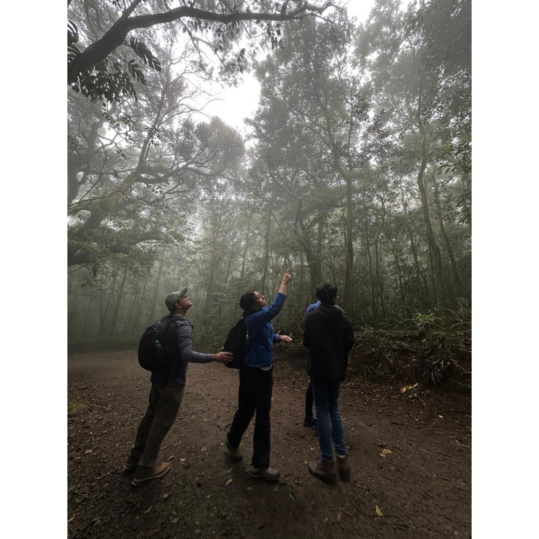 Vivencia de conservacion Monteverde