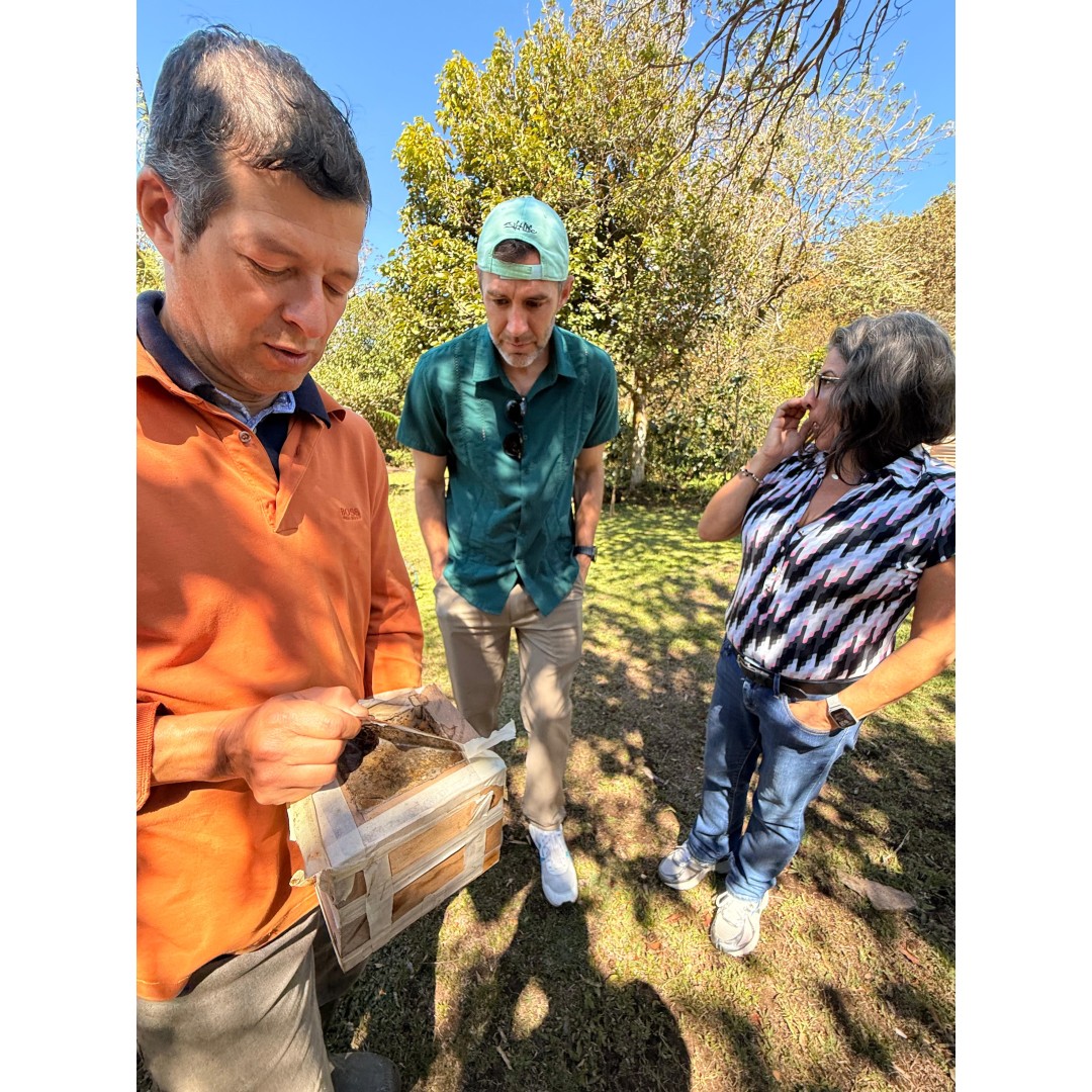 Flavors of the Forest: Ethnobotanical & Culinary Journey