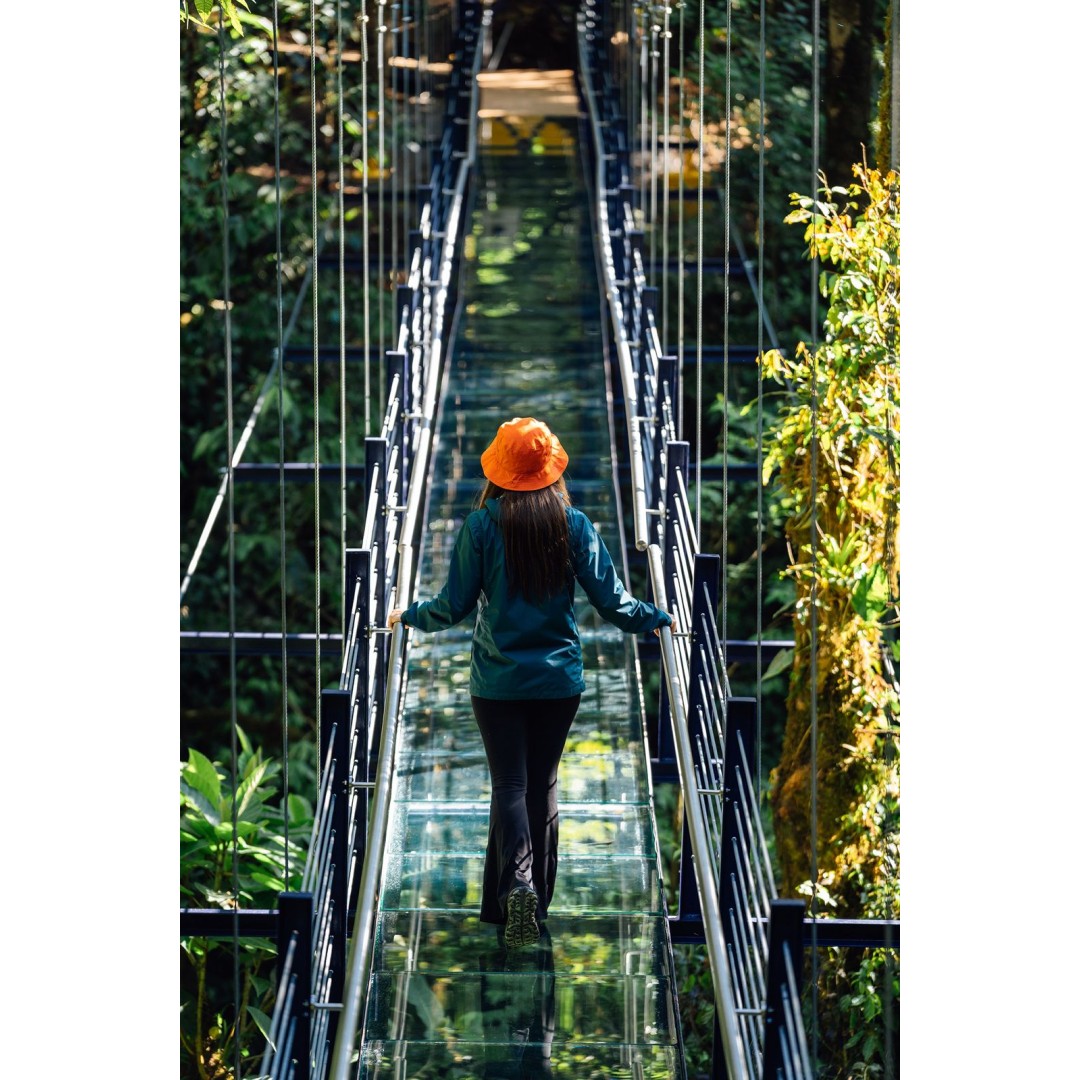 Hanging Bridges Tour