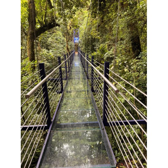 Hanging Bridges Tour