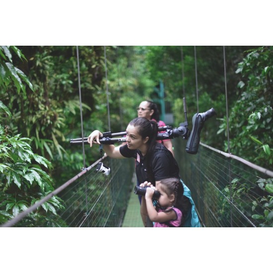 Tour en Puentes Colgantes