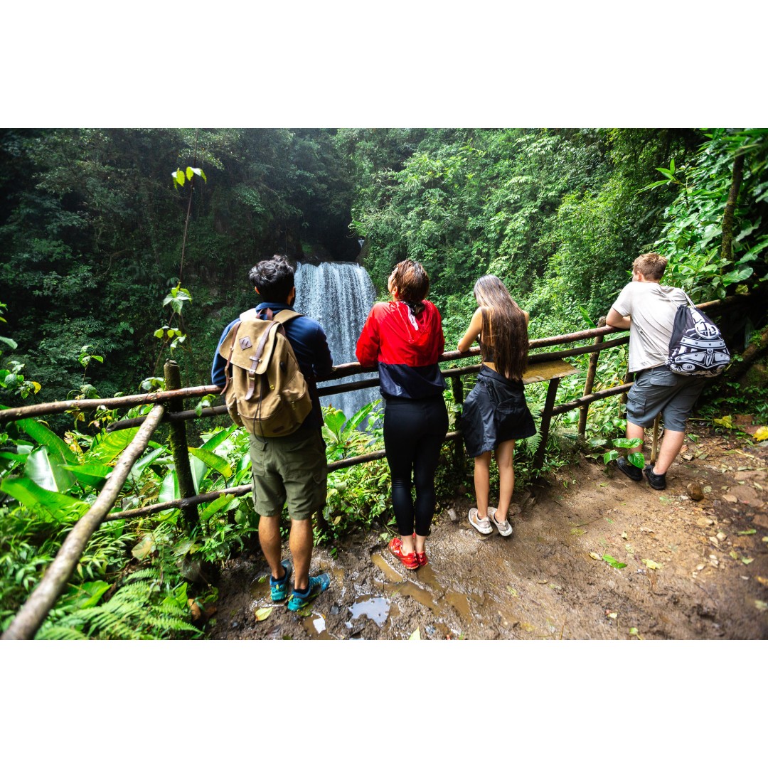 CLOUD FOREST WATERFALLS