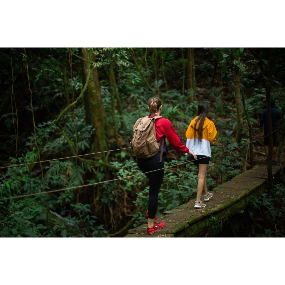 CLOUD FOREST WATERFALLS