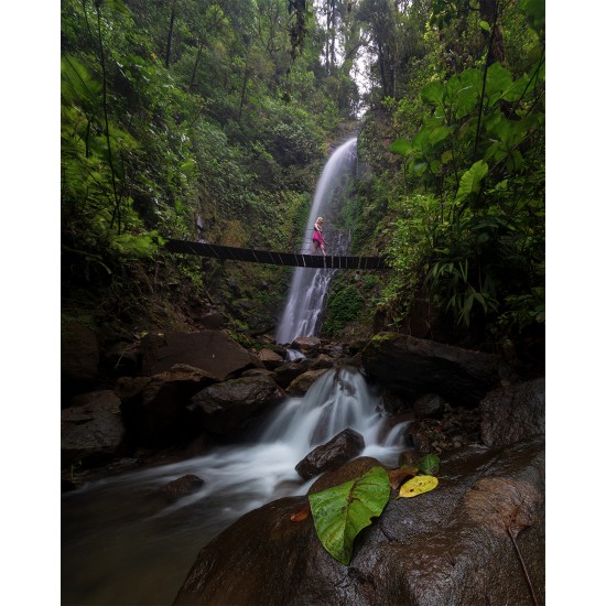 CATARATAS DEL BOSQUE NUBOSO