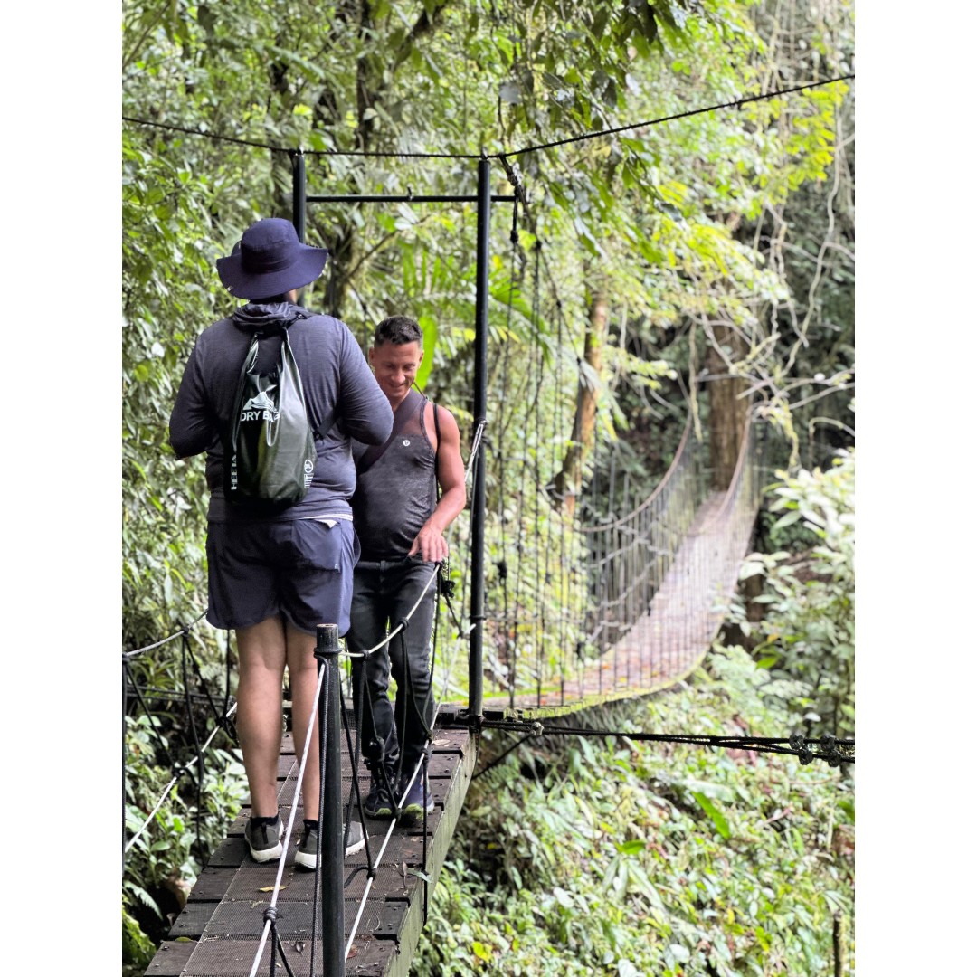 CATARATAS DEL BOSQUE NUBOSO