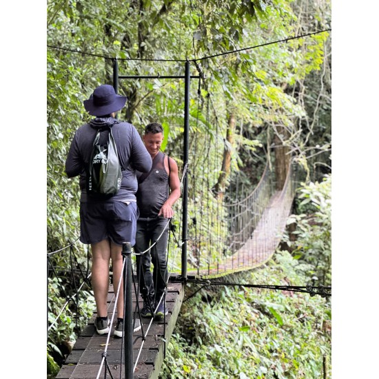 CLOUD FOREST WATERFALLS