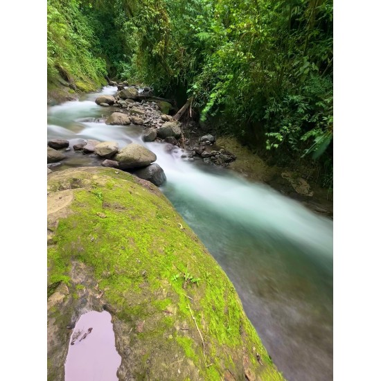 CLOUD FOREST WATERFALLS
