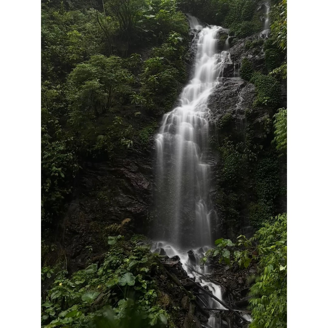 CLOUD FOREST WATERFALLS