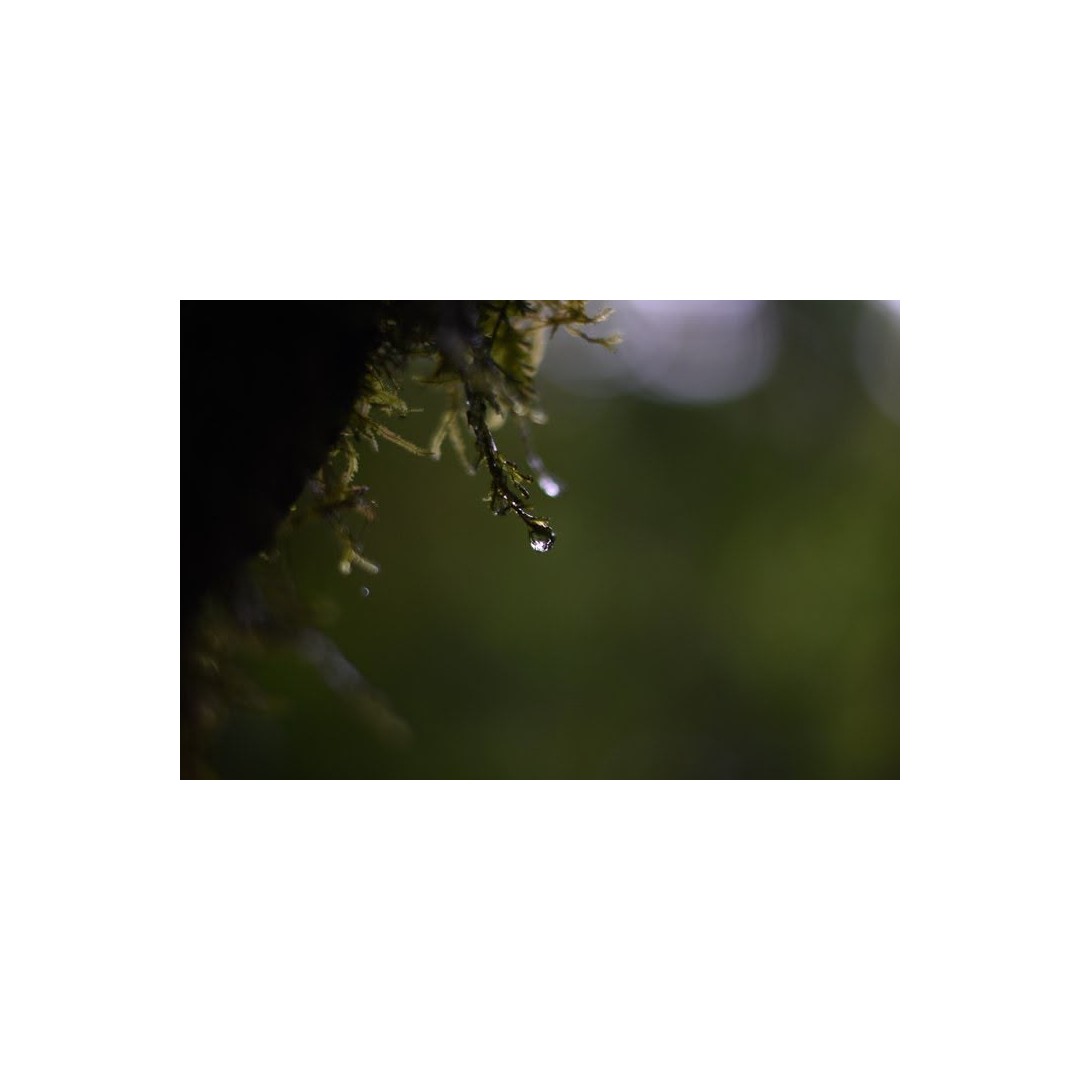 EXPERIENCIA DE FOTOGRAFÍA DE NATURALEZA