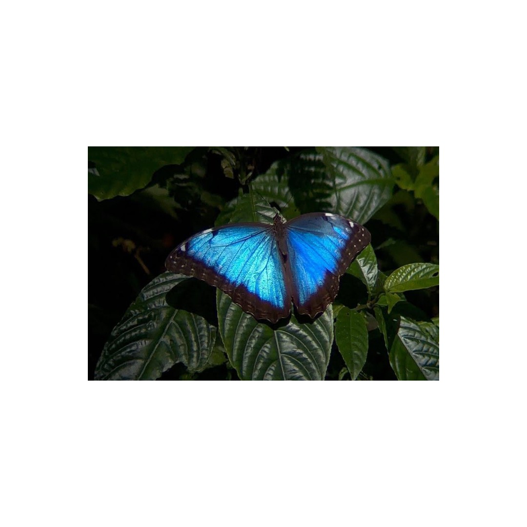 EXPERIENCIA DE FOTOGRAFÍA DE NATURALEZA