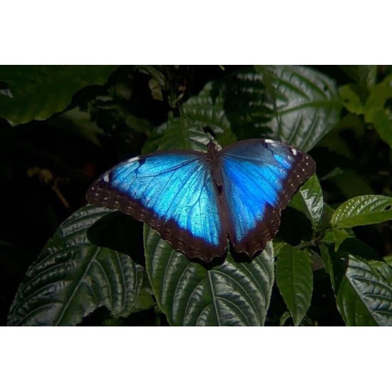 EXPERIENCIA DE FOTOGRAFÍA DE NATURALEZA