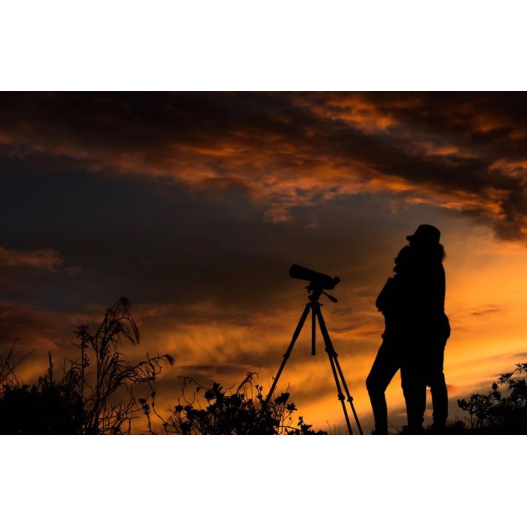 EXPERIENCIA DE FOTOGRAFÍA DE NATURALEZA