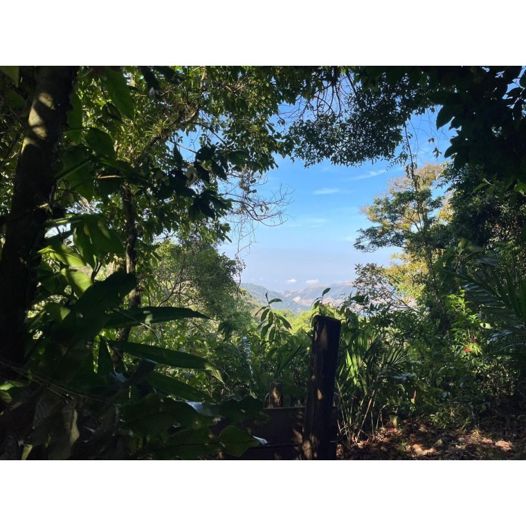 Monteverde from Within: A...