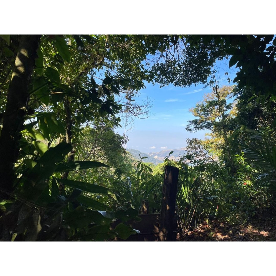 Monteverde from Within: A Rural Community Experience