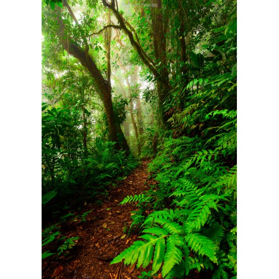 Natural History Walk