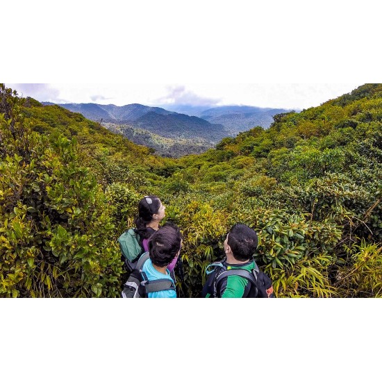 Caminata de Historia Natural