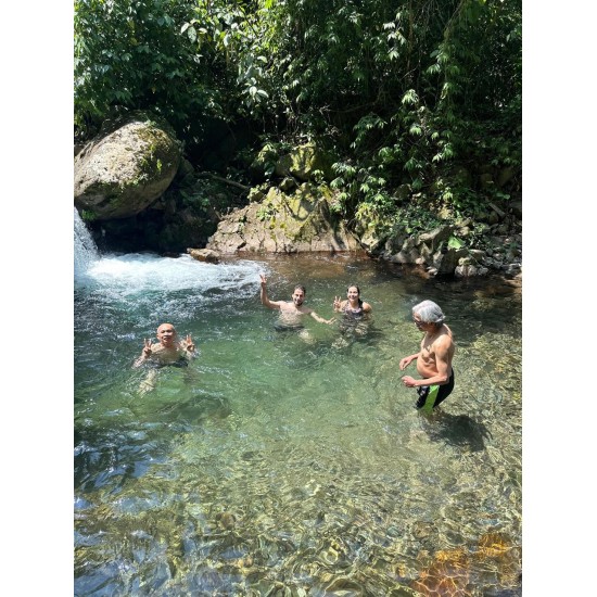 Tour de Bienestar en la Naturaleza