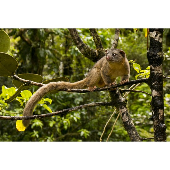 Nature Photography Tour