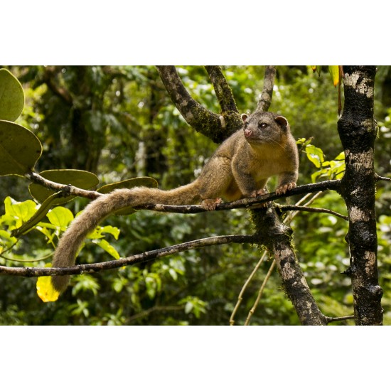 Tour de Fotografía de Naturaleza