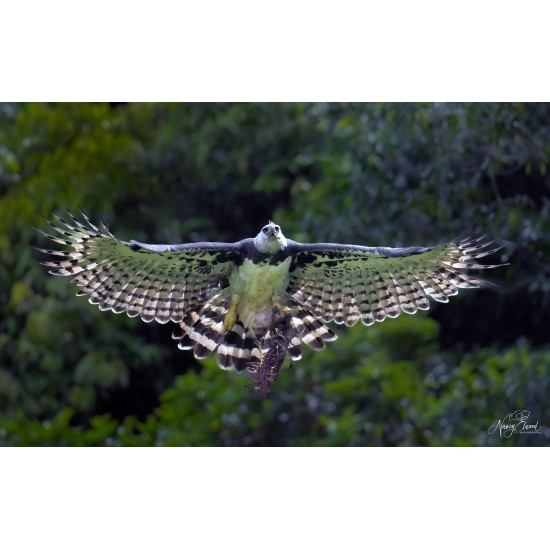 Tour de Fotografía de Naturaleza