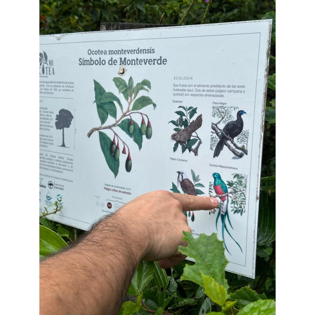 In Search of Monteverde’s Unique Species