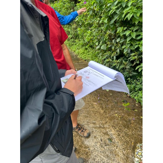En búsqueda de especies únicas de Monteverde