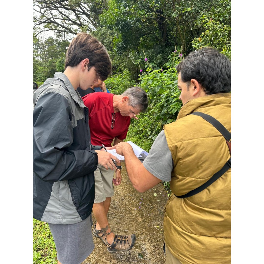 Vievencia Monteverde en Busca de Especies Endémicas