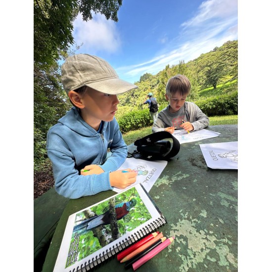 In Search of Monteverde’s Unique Species