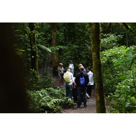Caminata de Historia Natural