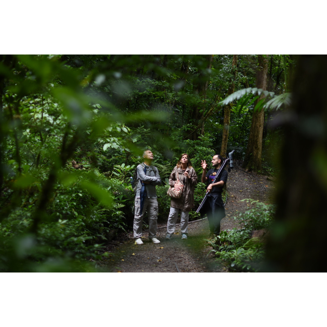 Caminata de Historia Natural